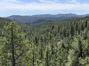 Forest Service and state of South Dakota sign agreement to work together on forest management