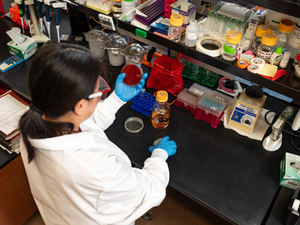Support for SD biomedical students falls victim to Trump diversity cuts upheld by Supreme Court