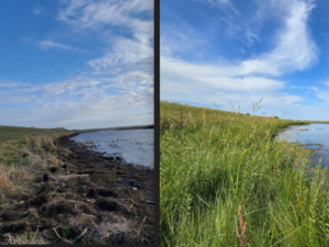 Water quality buffer program grows following $8 million boost from lawmakers