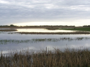 Call for input on wetlands regulations should catch South Dakotans’ attention