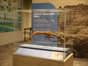 Podcast: An insider’s tour of South Dakota’s state museum renovation