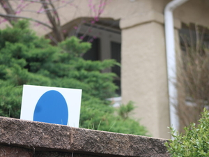 Inside the closing sprint to be the Dem nominee in NE-02