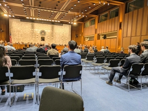 George Ayoub: Asking a lot not too much to ask