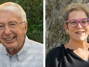 In ‘purple’ Legislative District 12, swing-vote Riepe faces Democrat challenger Knorr