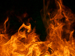 Arkansas authorities battling wildfire near Camden industrial park