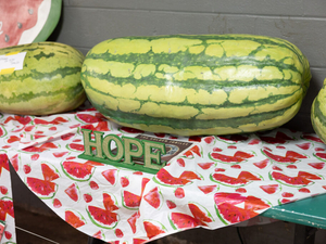 Watermelons and politics collide in Hope, Arkansas festival