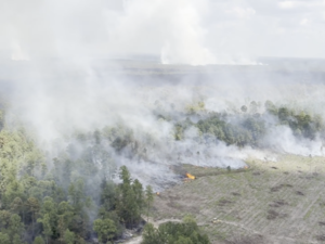 Arkansas authorities battling wildfire near Camden industrial park