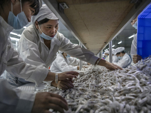 Who’s cashing in on Indiana’s illegal vape market, and who will stop it?