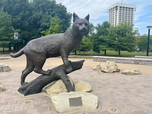 Beshear makes two new appointments to University of Kentucky Board of Trustees