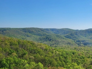 Utility cannot build transmission line through Berea College Forest, judge rules