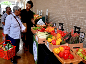 Delta Harvest market adjusts from weekly to monthly