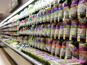Lettuce is safe to eat, says Mississippi epidemiologist, and food safety questions answered