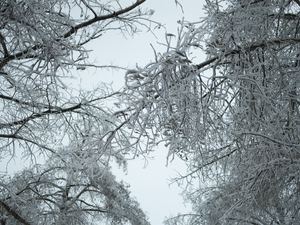 Deadline for Winter Storm Fern assistance is Wednesday; MEMA shares updated figures