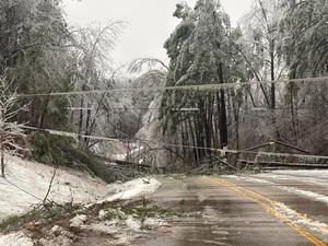 FEMA sends New Albany nearly $1M for winter storm debris pickup