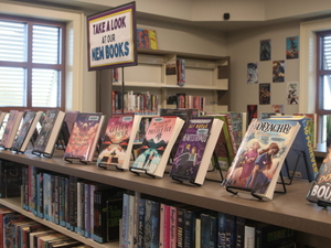 Alabama state library board creates sample policies to implement controversial rule changes