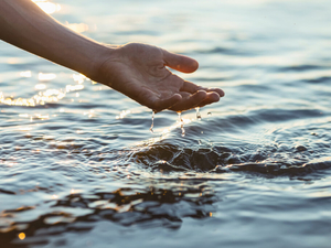 Collaboration is essential to protecting SC’s water future