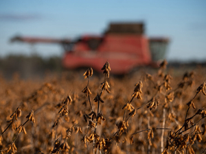 SC farmers say they’re in crisis. Senators propose $35M in assistance.