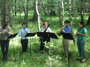 ‘Just wonderful’: USC musicians perform at Congaree National Park for country’s 250th birthday