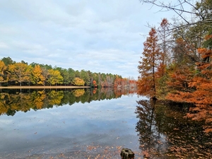 Protecting SC’s natural beauty is an investment in our future
