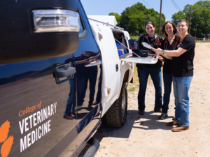 Clemson University veterinary students will provide on-farm care