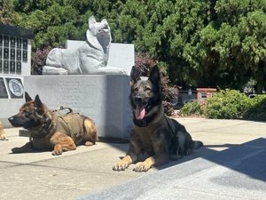 SC officers of fallen K-9s celebrate law hiking penalties for harming police animals