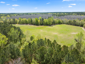 SC estate with ties to slavery, circus and governors could next become a state preserve