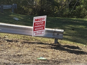 How labels in foster care shape children’s lives