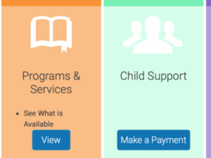 WV Department of Human Services using $8M in TANF money to pay for broken online database
