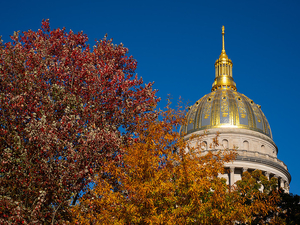 Six West Virginia state house races to watch next week