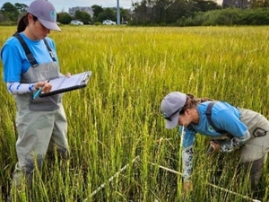 Wetlands bill to face lawmakers with $1.5M annual cost