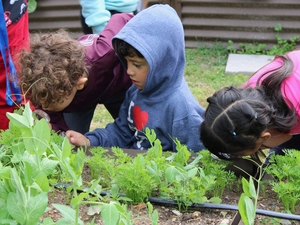 Farm to table: Delaware students learn about planting, harvesting through school gardens 
