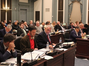 Delaware lawmakers stay up late to pass Bond Bill, veto override, others