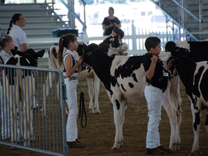At the Delaware State Fair, young farmers showcase their cattle-log 