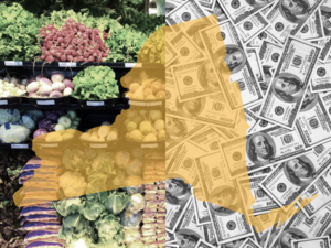 Counties Weigh Property Tax Hikes Amid SNAP Cuts