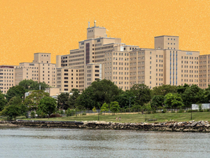 Albany Has Let Disability and Mental Health Oversight Boards Wither Away