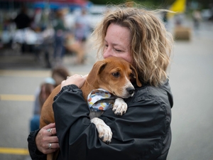 As financial hardship drives owners to give up pets, Vermont can’t rehome them fast enough