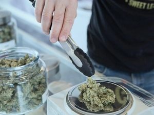 SJC keeps recreational marijuana repeal in the mix for November