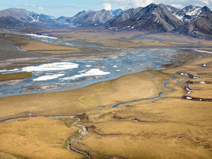 Controversial oil lease sale in Alaska wildlife refuge draws limited interest
