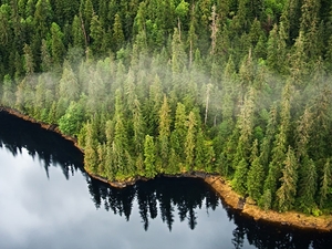Dismantling the Roadless Rule threatens to disrupt wildlife, water and peace