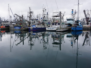 Pitched battle for Alaska’s Senate seat is enveloped in a fight over fish