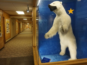 COVID still sickens Alaskans, but effects are muted and the death toll continues to drop