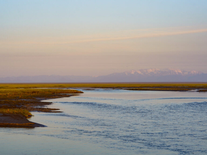 We are all connected to the Arctic  