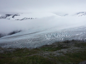 Threats to Alaska’s bees: climate, habitat, and a changing North