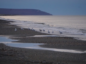 In Inupiaq, when the weather talks, you listen