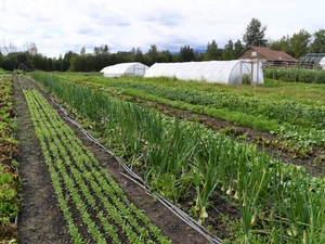 Alaska needs farmers. Farmers need farmland.