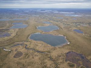 Feds seek to ‘streamline’ Arctic oil permitting, ending environment studies of individual projects