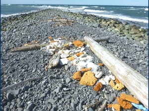 Single-use plastic elimination is a step towards environmental health in Alaska