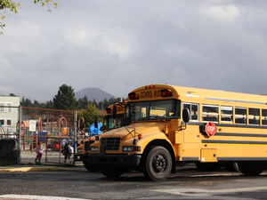Alaska Legislature votes to ban certain synthetic food dyes in school meals