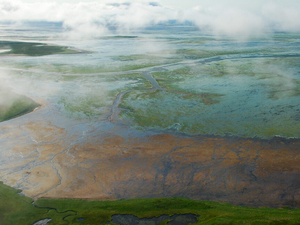 Feds suspend permit for road construction through Alaska wildlife refuge, amid legal questions