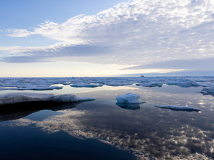 Trump administration mounts second attempt to relax offshore Arctic drilling rules